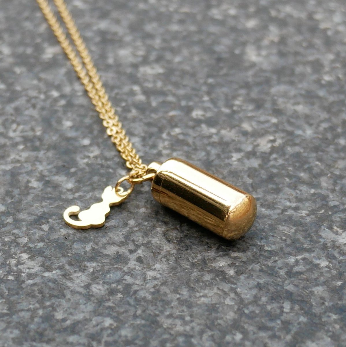 Asketting Goud- Kat - Poes