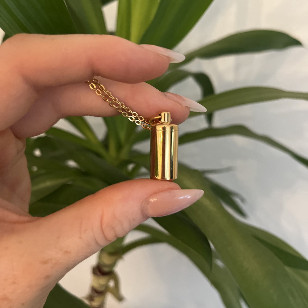 Asketting Goud - Koker