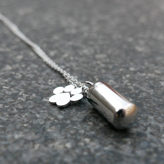 Asketting  Zilver - Kat - Hond