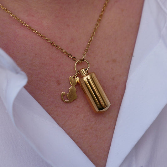 Asketting Goud- Kat - Poes